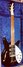 Rickenbacker 325/6 Byrd, Black: Full Instrument - Front