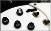Rickenbacker 325/6 Byrd, Black: Close up - Free