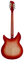 Rickenbacker 330/12 , Fireglo: Full Instrument - Rear