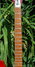Rickenbacker 330/12 , Fireglo: Neck - Front