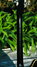Rickenbacker 370/12 RM, Jetglo: Neck - Rear