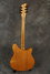 Rickenbacker 360/6 BH BT, Mapleglo: Full Instrument - Rear