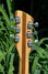 Rickenbacker 360/6 , Natural: Headstock - Rear