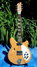 Rickenbacker 360/6 , Natural: Full Instrument - Front