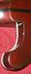 Rickenbacker 4001/4 FL, Burgundy: Free image
