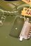 Rickenbacker 460/6 Refin, Black: Close up - Free