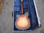 Rickenbacker 360/12 VP, MonteBrown: Full Instrument - Rear