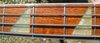 Rickenbacker 4001/4 Deluxe, Mapleglo: Close up - Free