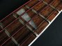 Rickenbacker 4003/4 , Mapleglo: Full Instrument - Rear