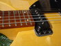 Rickenbacker 330/6 BH BT, Mapleglo: Free image