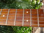 Rickenbacker 330/6 BH BT, Mapleglo: Neck - Front