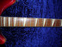 Rickenbacker 370/6 , Fireglo: Full Instrument - Rear