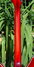 Rickenbacker 360/12 C63, Fireglo: Neck - Rear