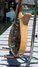 Rickenbacker 325/6 V59, Mapleglo: Free image