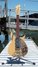 Rickenbacker 325/6 V59, Mapleglo: Full Instrument - Front