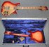 Rickenbacker 660/12 TP, Fireglo: Full Instrument - Front