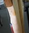 Rickenbacker 330/6 , Mapleglo: Close up - Free2
