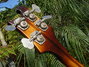 Rickenbacker 4001/4 , Walnut: Headstock - Rear