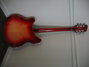 Rickenbacker 360/12 , Amber Fireglo: Full Instrument - Rear