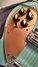 Rickenbacker 330/6 Refin, Natural: Close up - Free2