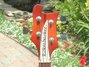 Jan 1973 Rickenbacker 4000/4 Mod, Fireglo: Headstock