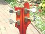 Rickenbacker 4000/4 Mod, Fireglo: Headstock - Rear
