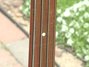 Rickenbacker 4000/4 Mod, Fireglo: Neck - Front
