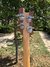 Rickenbacker 4001/4 C64S, Mapleglo: Headstock - Rear