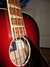Rickenbacker Acoustic/4 , Custom: Neck - Front