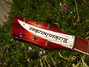 May 1997 Rickenbacker 360/6 V64, Fireglo: Headstock