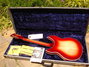 Rickenbacker 360/6 V64, Fireglo: Full Instrument - Rear