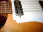 Rickenbacker 450/12 , Natural: Close up - Free