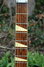 Rickenbacker 460/6 Van Ghent tuners, Mapleglo: Free image2