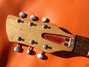 Rickenbacker 420/6 Refin, Fireglo: Headstock