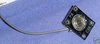 Rickenbacker / , : Close up - Free