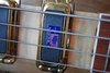 Rickenbacker 4004/4 LK, Natural Walnut: Neck - Rear