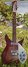 Rickenbacker 310/6 f hole, Fireglo: Full Instrument - Front