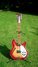 Rickenbacker 360/12 V64, Fireglo: Full Instrument - Front