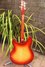 Rickenbacker 335/6 , Fireglo: Full Instrument - Rear
