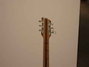 Rickenbacker 365/6 , Mapleglo: Headstock - Rear