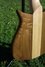 Rickenbacker 650/6 Dakota, Natural Walnut: Free image2