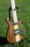 Rickenbacker 650/6 Dakota, Natural Walnut: Body - Front
