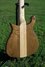 Aug 2009 Rickenbacker 650/6 Dakota, Natural Walnut: Body - Rear