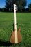 Rickenbacker 650/6 Dakota, Natural Walnut: Full Instrument - Rear