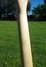 Rickenbacker 650/6 Dakota, Natural Walnut: Neck - Rear