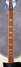 Rickenbacker 481/6 Slant Fret, White: Neck - Front
