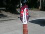 Aug 2007 Rickenbacker 360/6 , Fireglo: Headstock