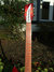 Rickenbacker 350/6 V63, Fireglo: Neck - Front