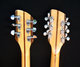 Rickenbacker 362/612 Doubleneck, Mapleglo: Headstock - Rear