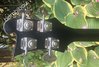 Rickenbacker 4003/4 , Jetglo: Headstock - Rear